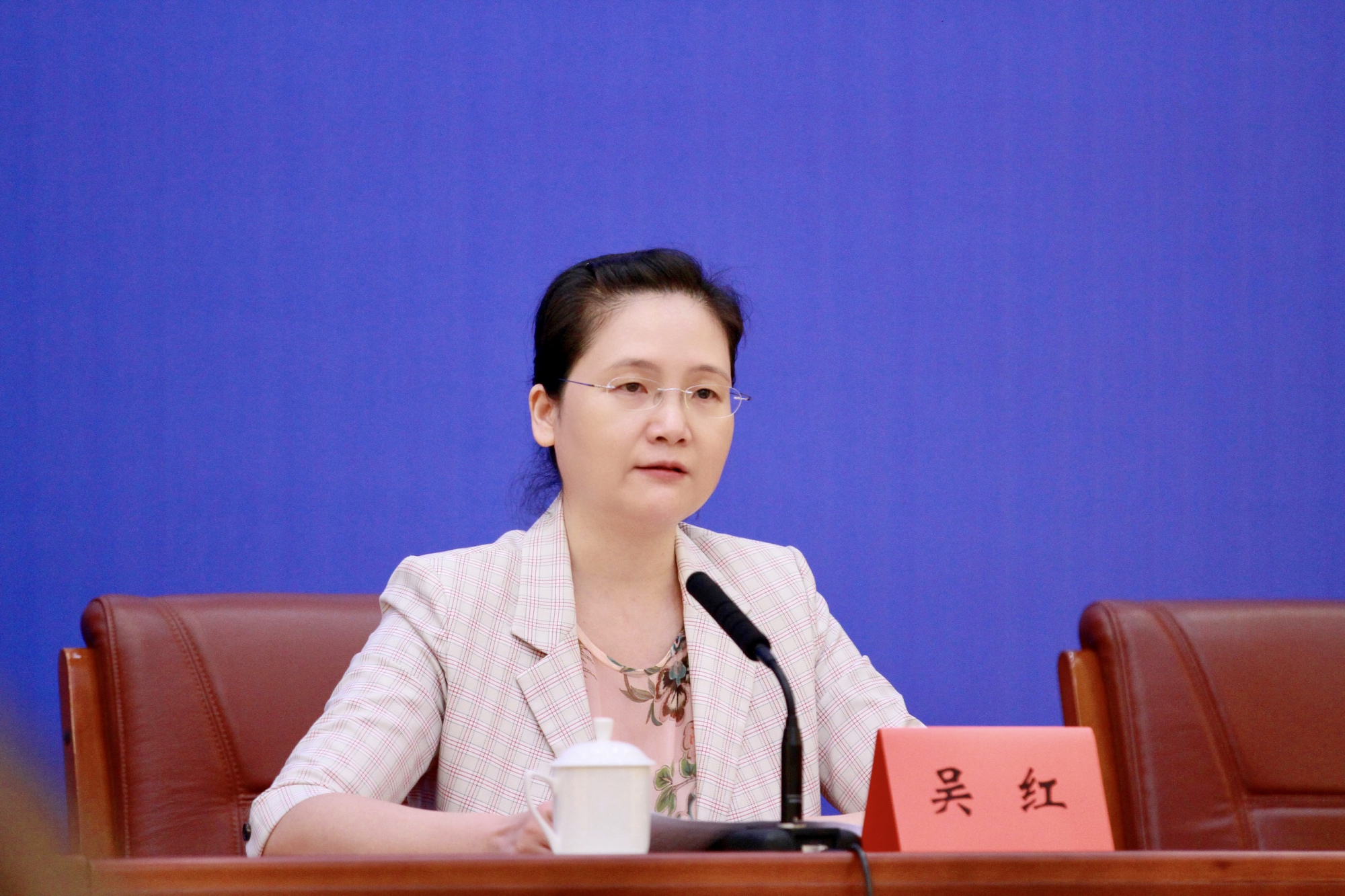 吴红对此回应称,广东工信厅主动会同省有关部门以"核"带"区"主体