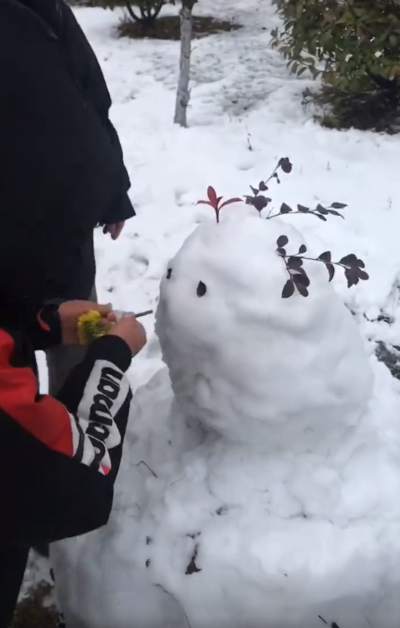 孙海洋一家堆雪人,孙悦吃雪孙辉趴在雪地,卓卓越来越有大哥风范