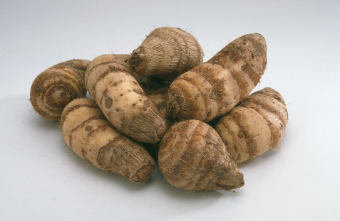 香芋和羊肉能一起吃吗