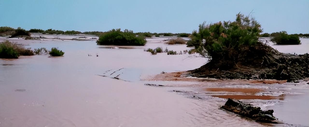 回顾一夜形成700个湖泊中国最大沙漠爆发洪水新疆有望变江南
