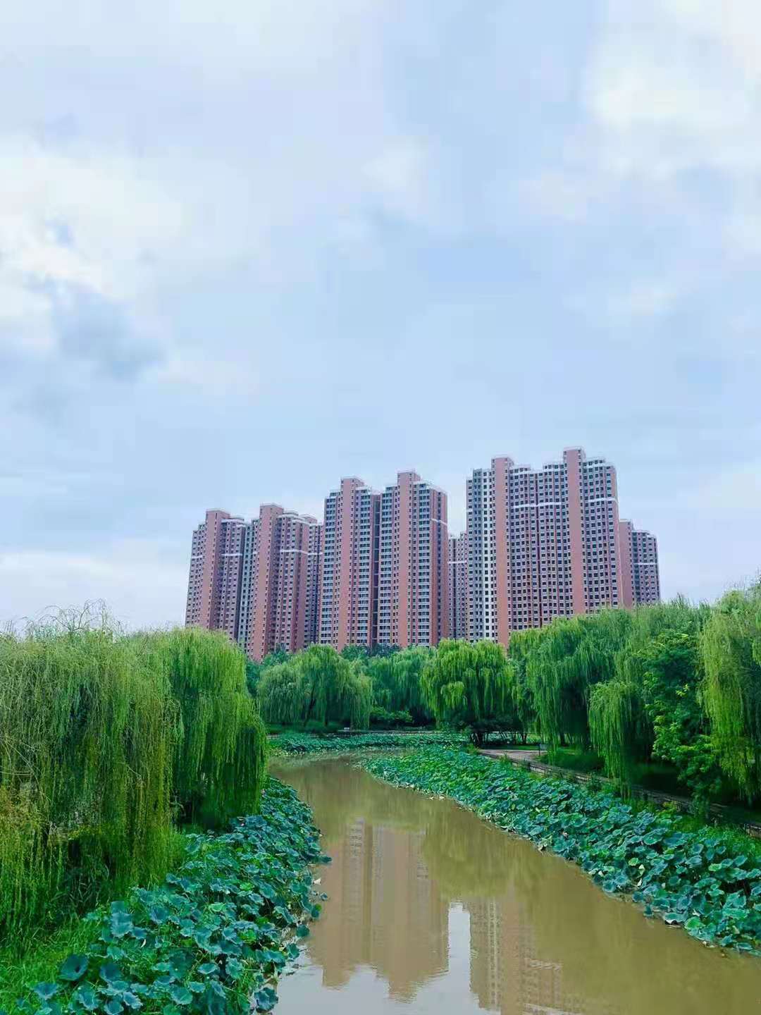 邯郸龙湖公园附近小区图片