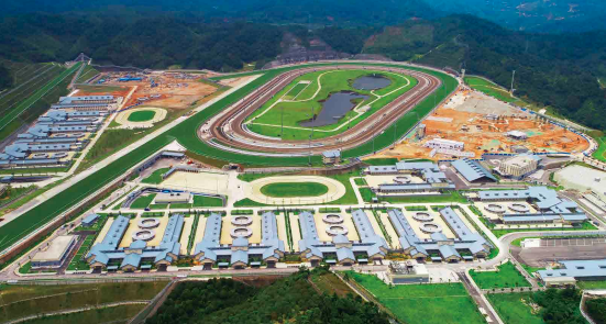 重磅解读!香港马会宣布广州从化马场2025年将举办常规赛马!