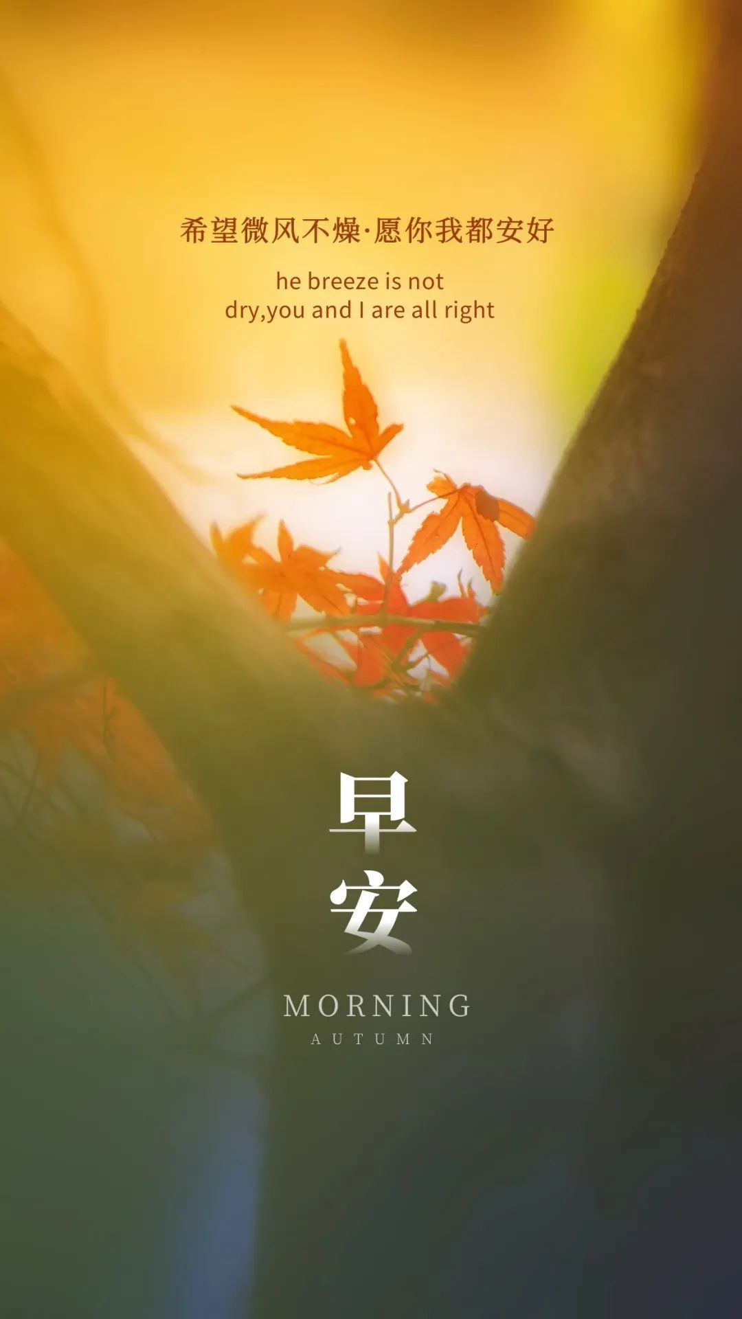 正能量早安说说图片带字,成功没有捷径,唯有不停努力!