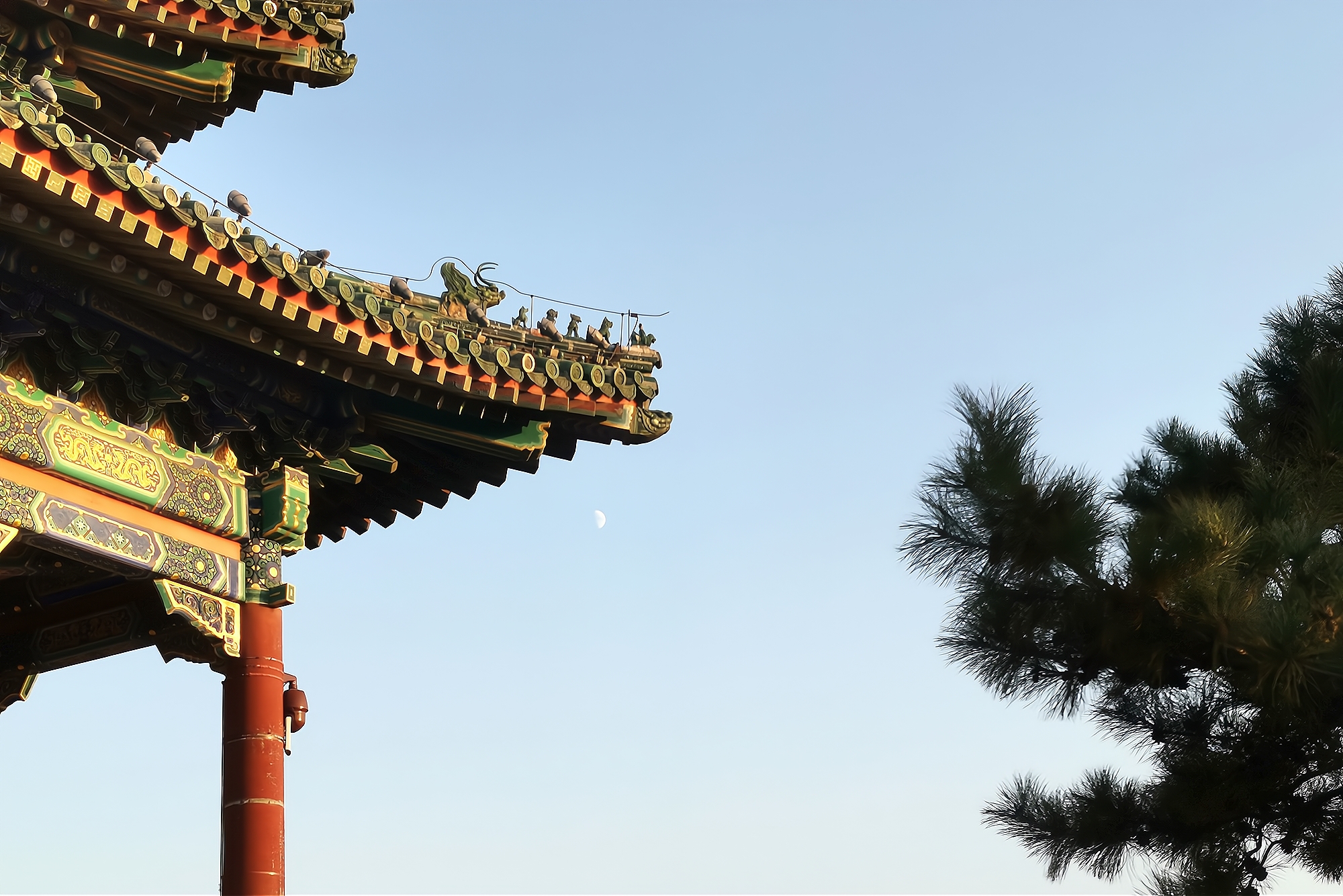 北京旅游必去的景点,2元就能俯瞰北京故宫全景,游客好评满满