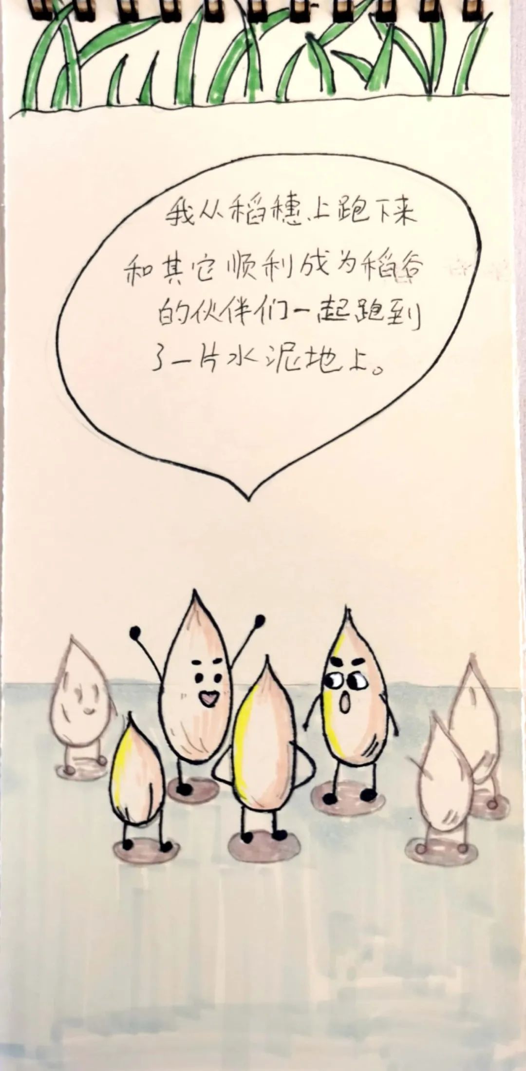揭秘!当米粒有了生命,竟然是这样的!
