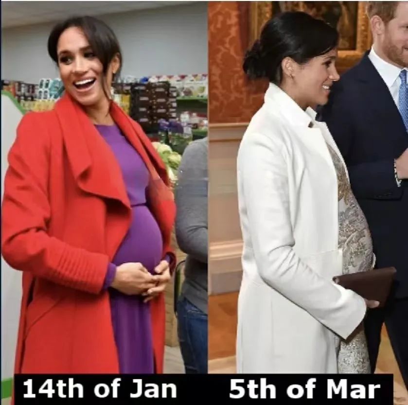 疑似肚子掉腿上,梅根孕照被翻出来,孕肚忽大忽小还会移位