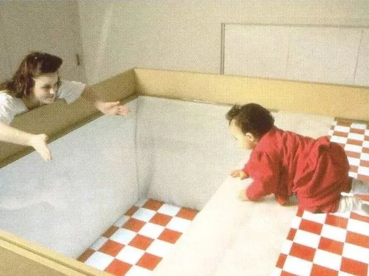 将婴儿放在"视觉悬崖",婴儿会直接爬过去吗?结果出乎你的意料