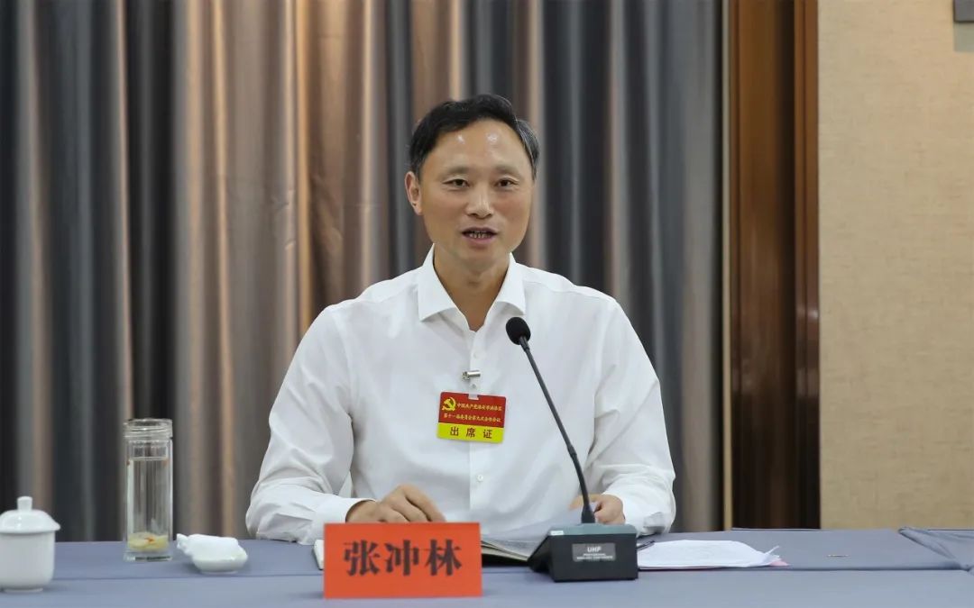 张冲林参加老干部代表团讨论时强调 统筹推动工业经济与全域旅游同步