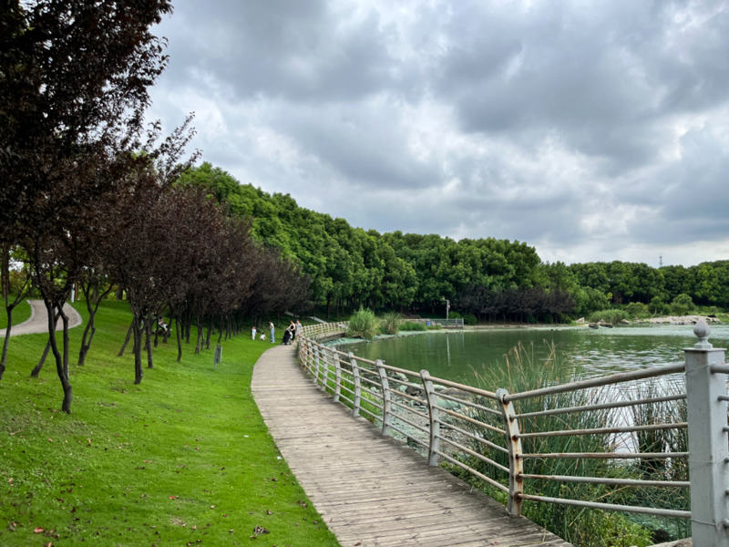 美兰湖留不住年轻人?科创湖区为罗店带来渴望已久的转机