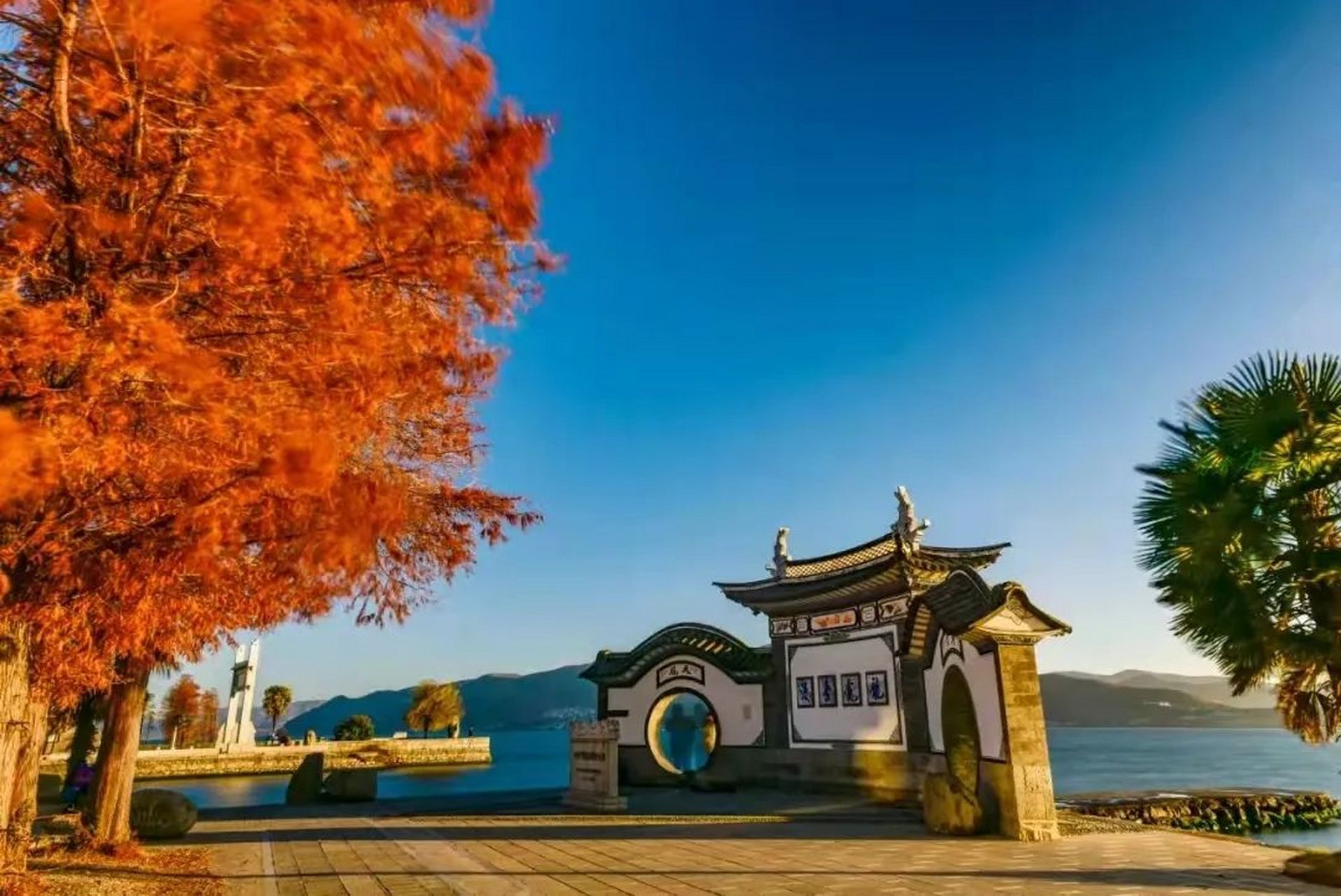 今日星座运势# 大理龙龛码头,一个充满浪漫与诗意的地方,让你感受