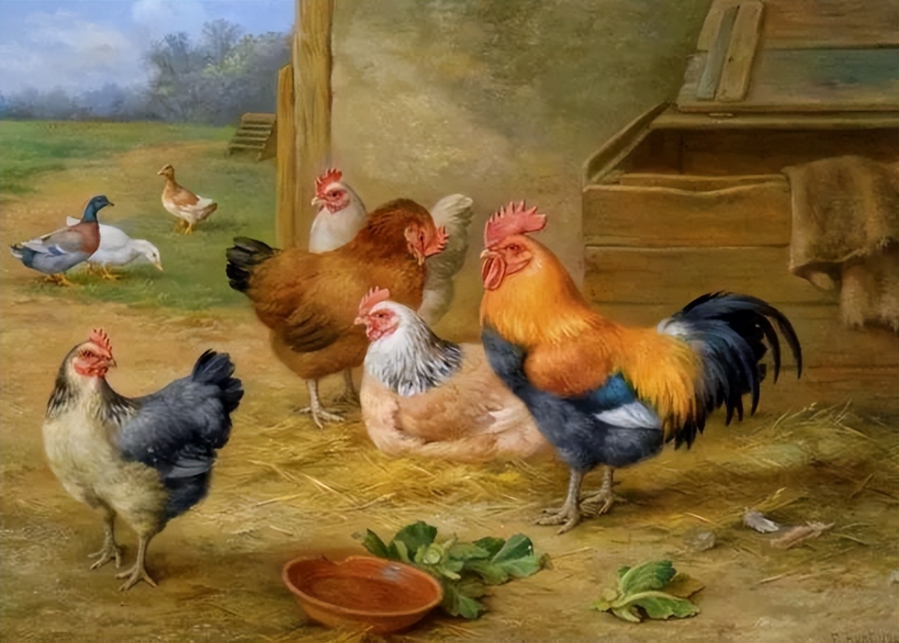 乡村院子里的家禽动物油画|英国画家:埃德加·亨特 (edgar hunt)