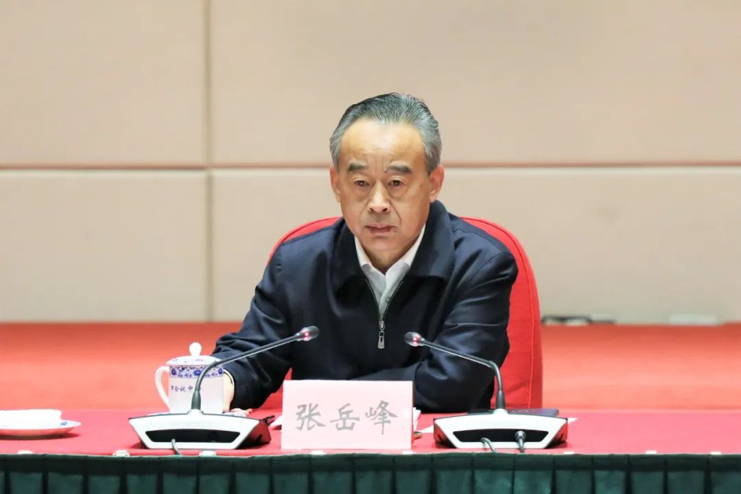 张岳峰:持续擦亮巡察利剑,扎实推动全面从严治党向纵深发展