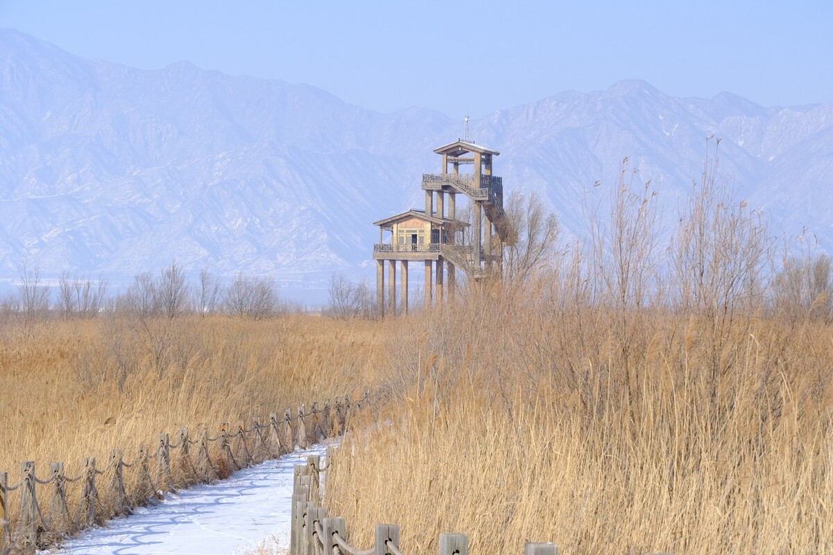 独家:冬日时节 北京延庆野鸭湖景美如画