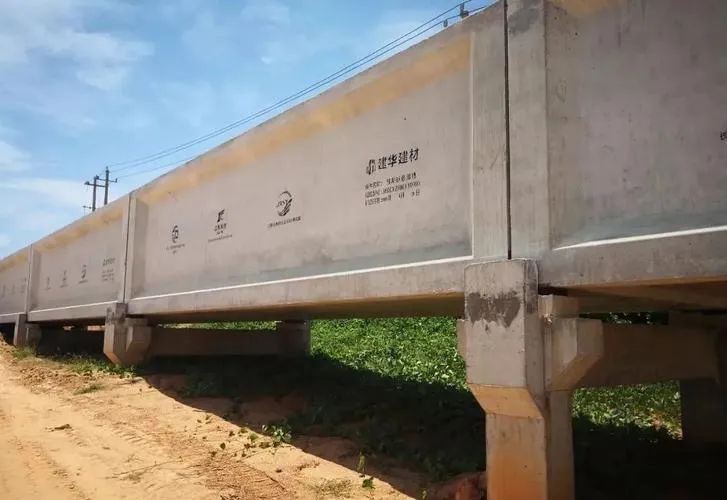 中山亿万富豪许景新:生产管桩起家,营收407亿,70后儿子已接班