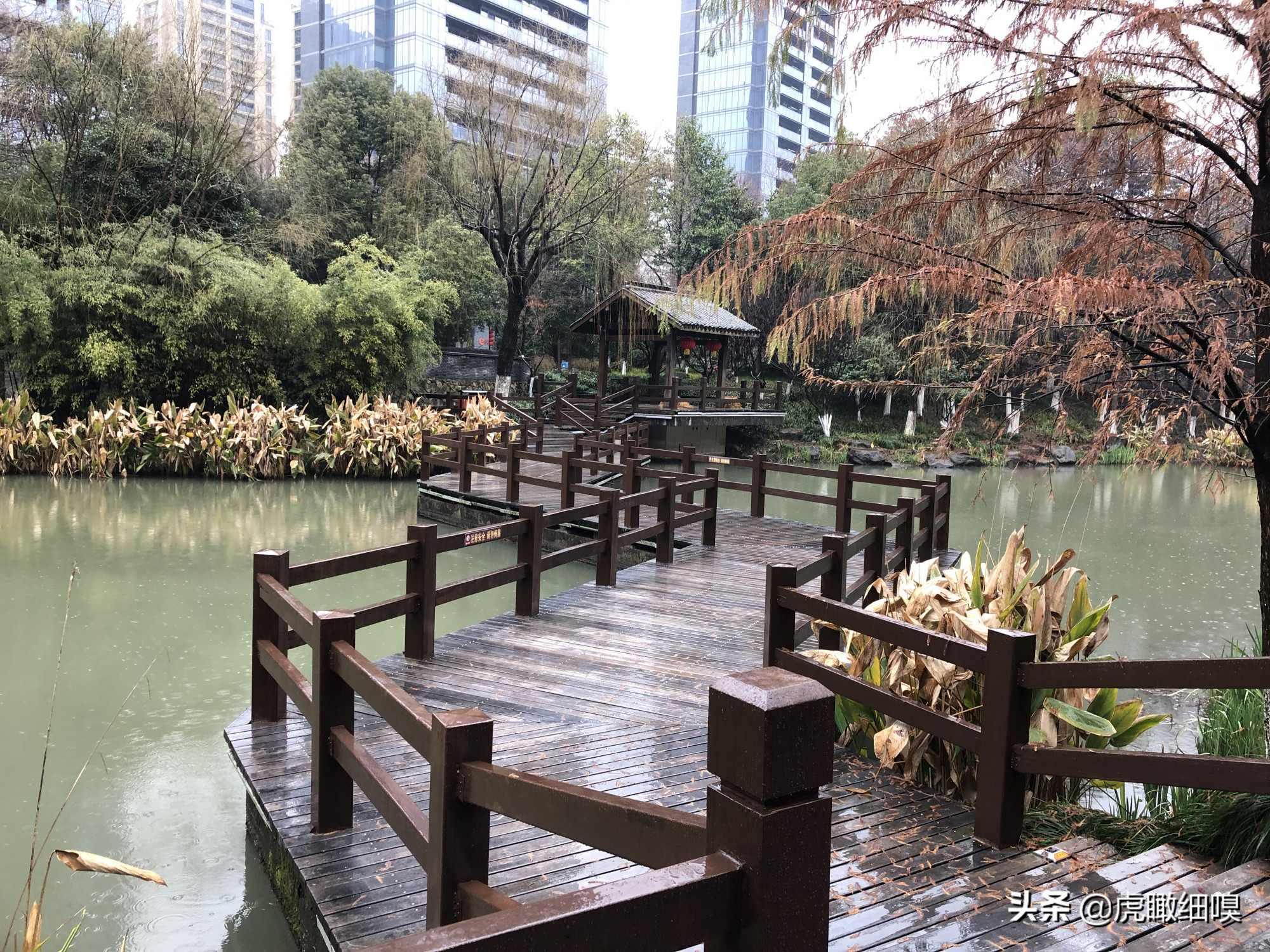 临平水景公园:好似散落于闹市中的一串珍珠的公园