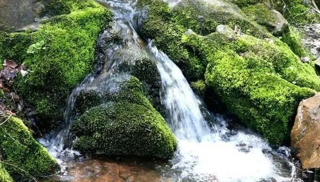 灵宝燕子山门票图片