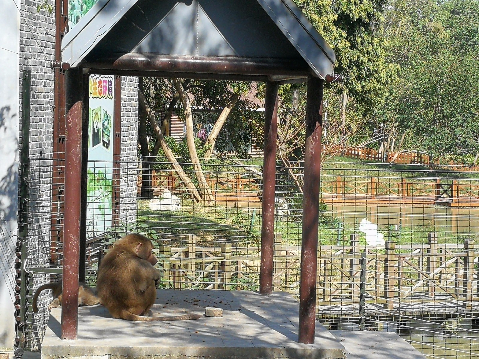 揚州茱萸灣動物園之風景