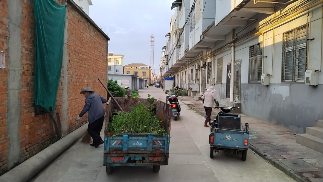 兴化市大垛镇开展人居环境"夏日攻坚"专项行动