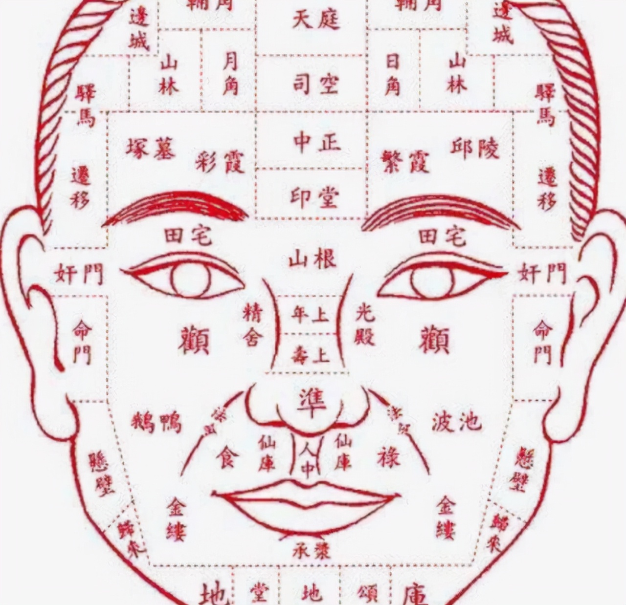 小男孩伏犀骨图解图片