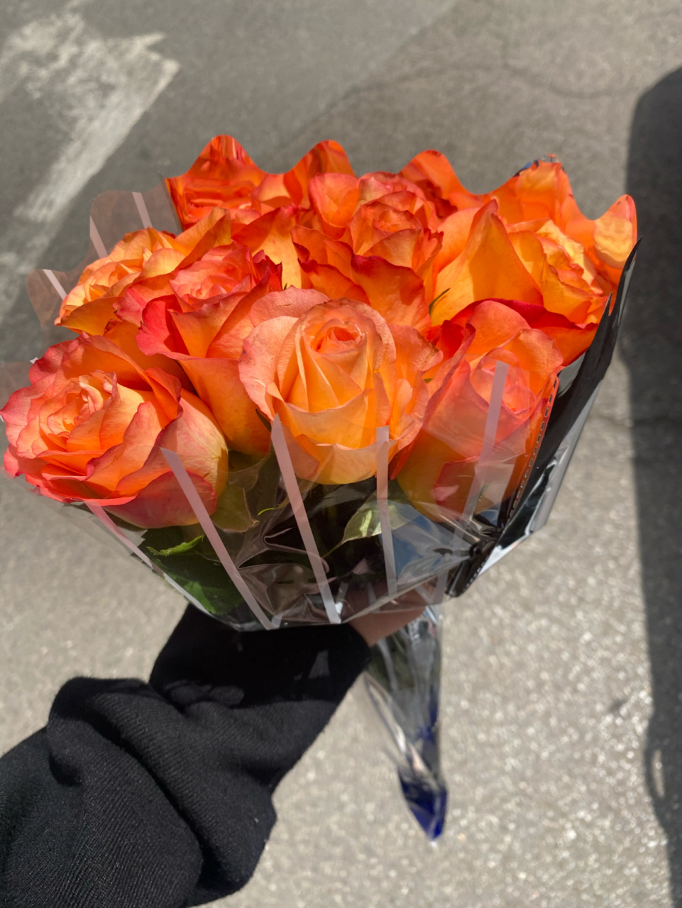 红边橙色的金辉玫瑰是一种独具特色的品种 金辉玫瑰的花语是快乐,俏皮