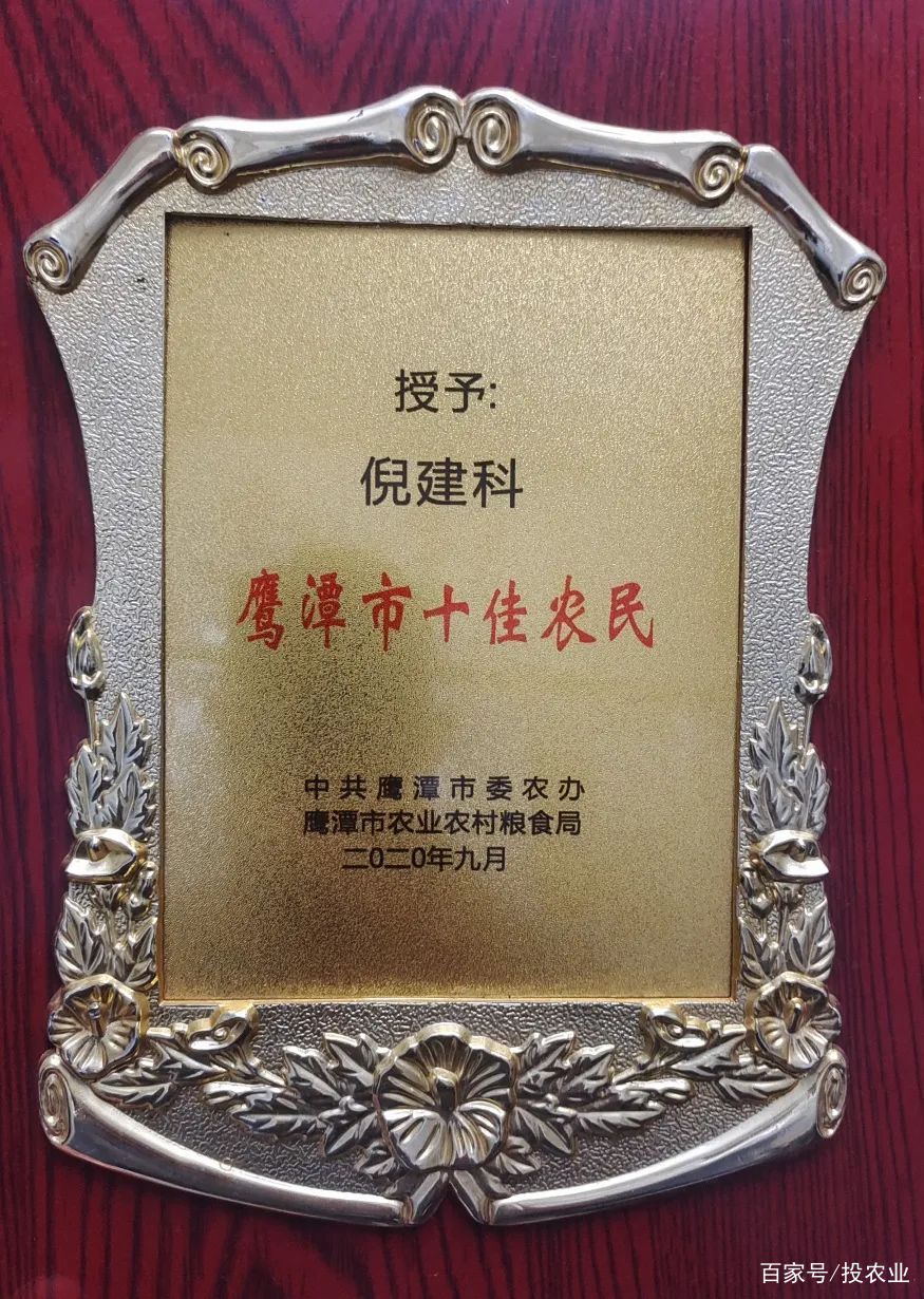 致富带头人典型事迹怎么写(致富带头人典型事迹怎么写范文)