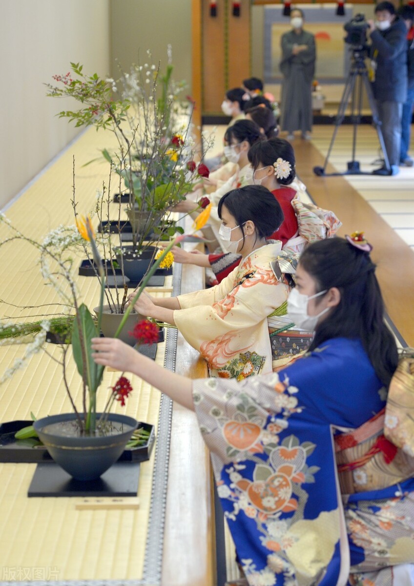 日本花道照片图片