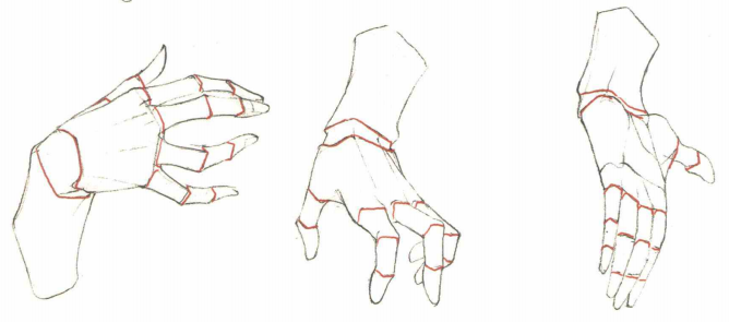 画人物是手的空间关系是什么?抓东西的手怎么绘制?