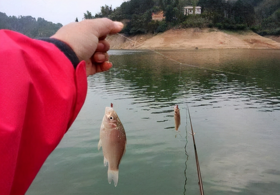 初春串钩钓大鲫鱼绝招图片