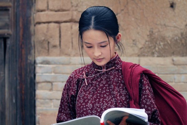 由张嘉译何冰主演的《白鹿原》,是一部值得一看的电视剧