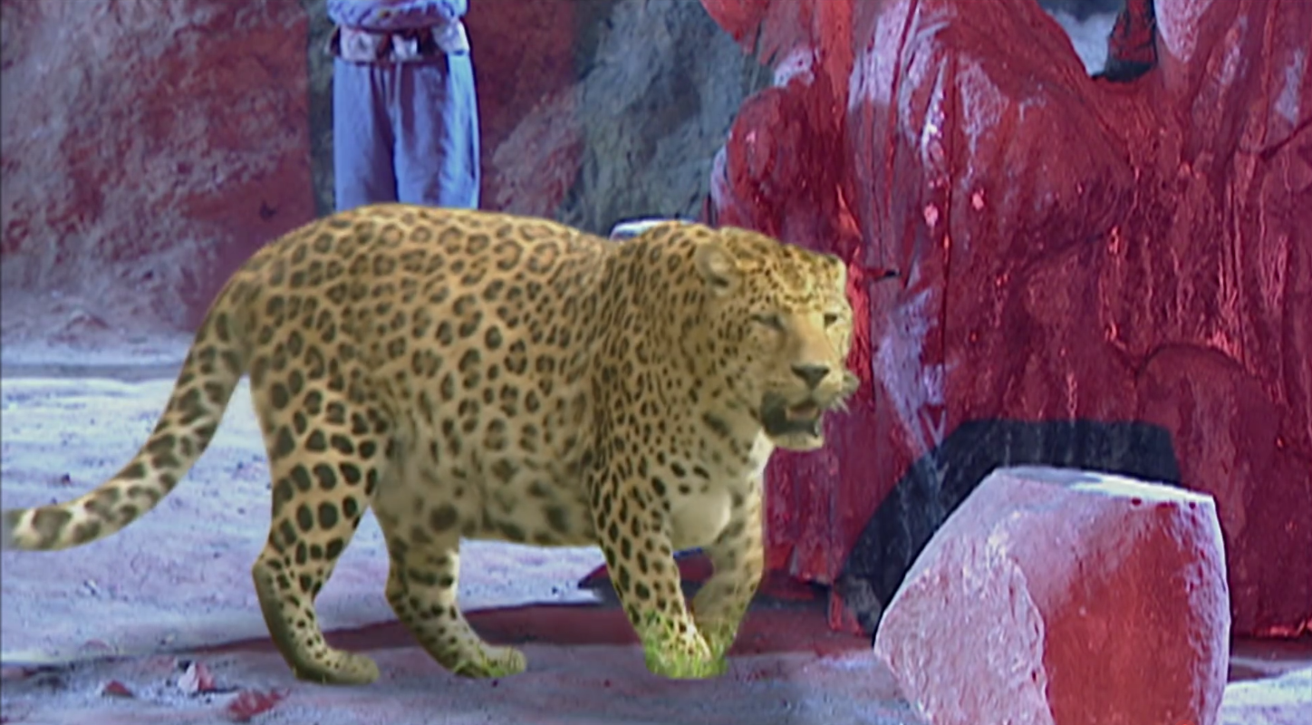 西游记中那么多虎精,为什么本命虎年,却被一只金钱豹抢了风头?