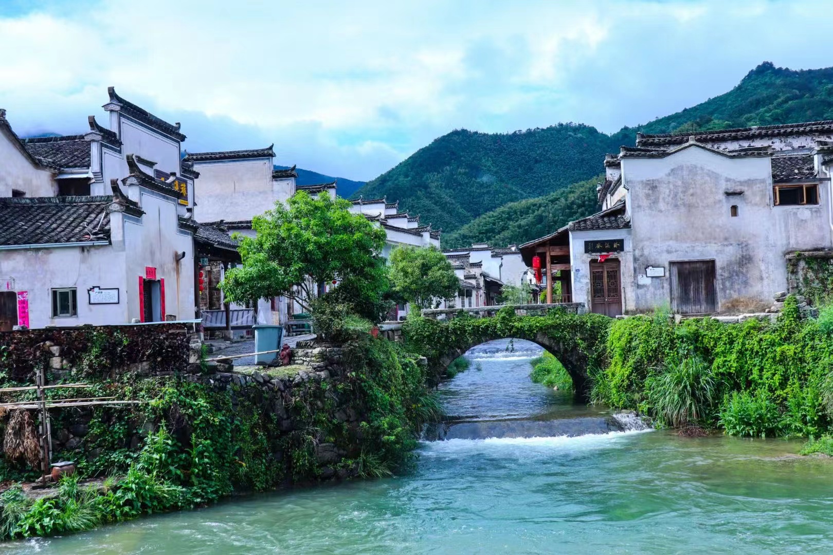 黟县:绿意润卢村