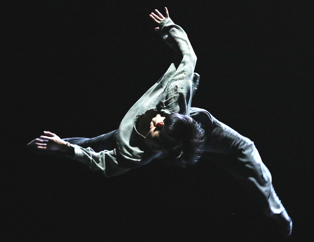 荷花奖"三连冠",上海歌舞团的年轻人"玩"出现当代舞的新风貌
