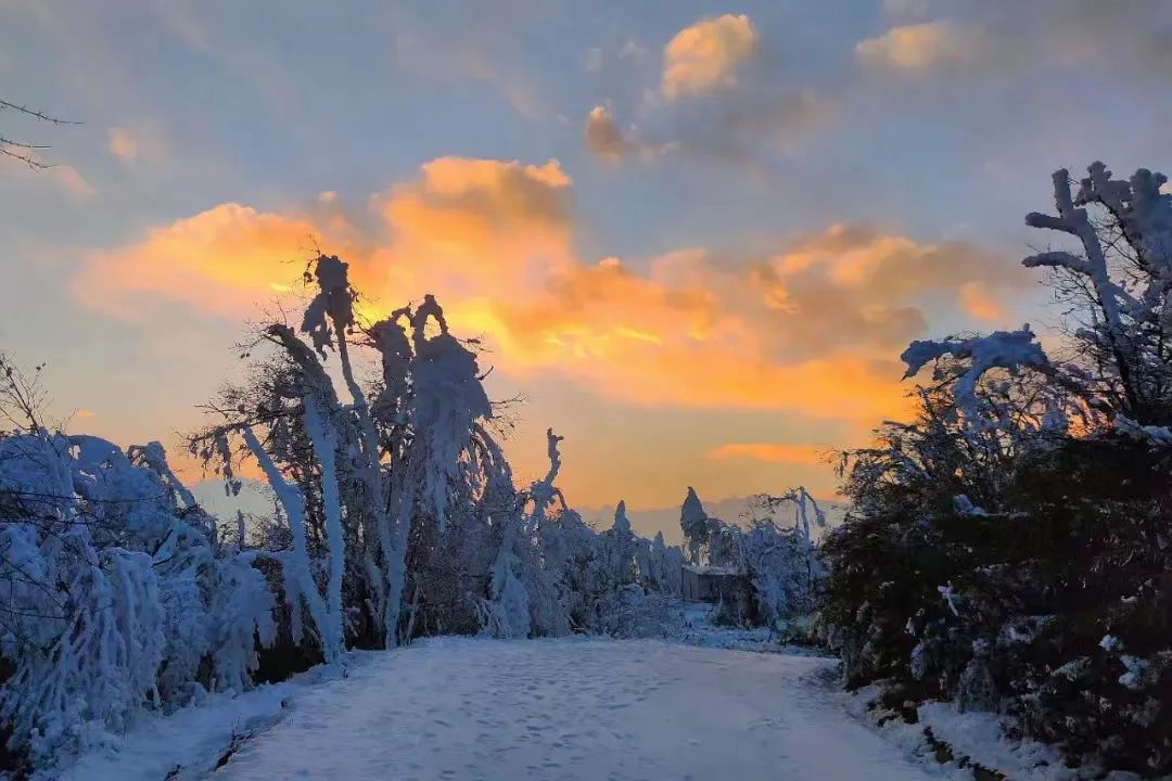 流水被低温凝固形成冰柱 一股带来冰与雪的冷风 爬上王岗坪的山坡 爬