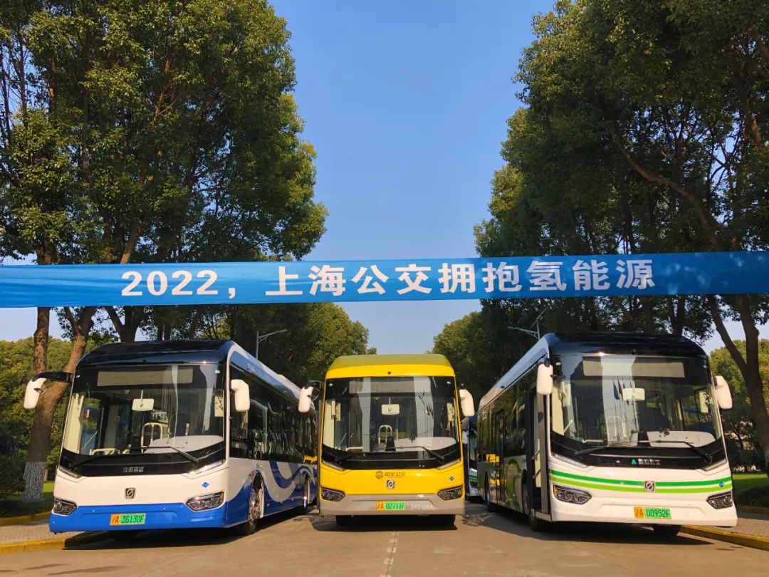 什么情况?嘉定,金山,奉贤的公交车一起出现在闵行?