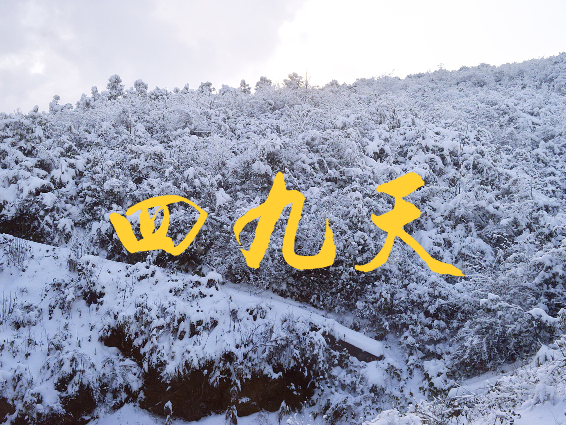 四九天养生,建议常吃"三冬三冻",健康安稳度冬天,老传统别忘