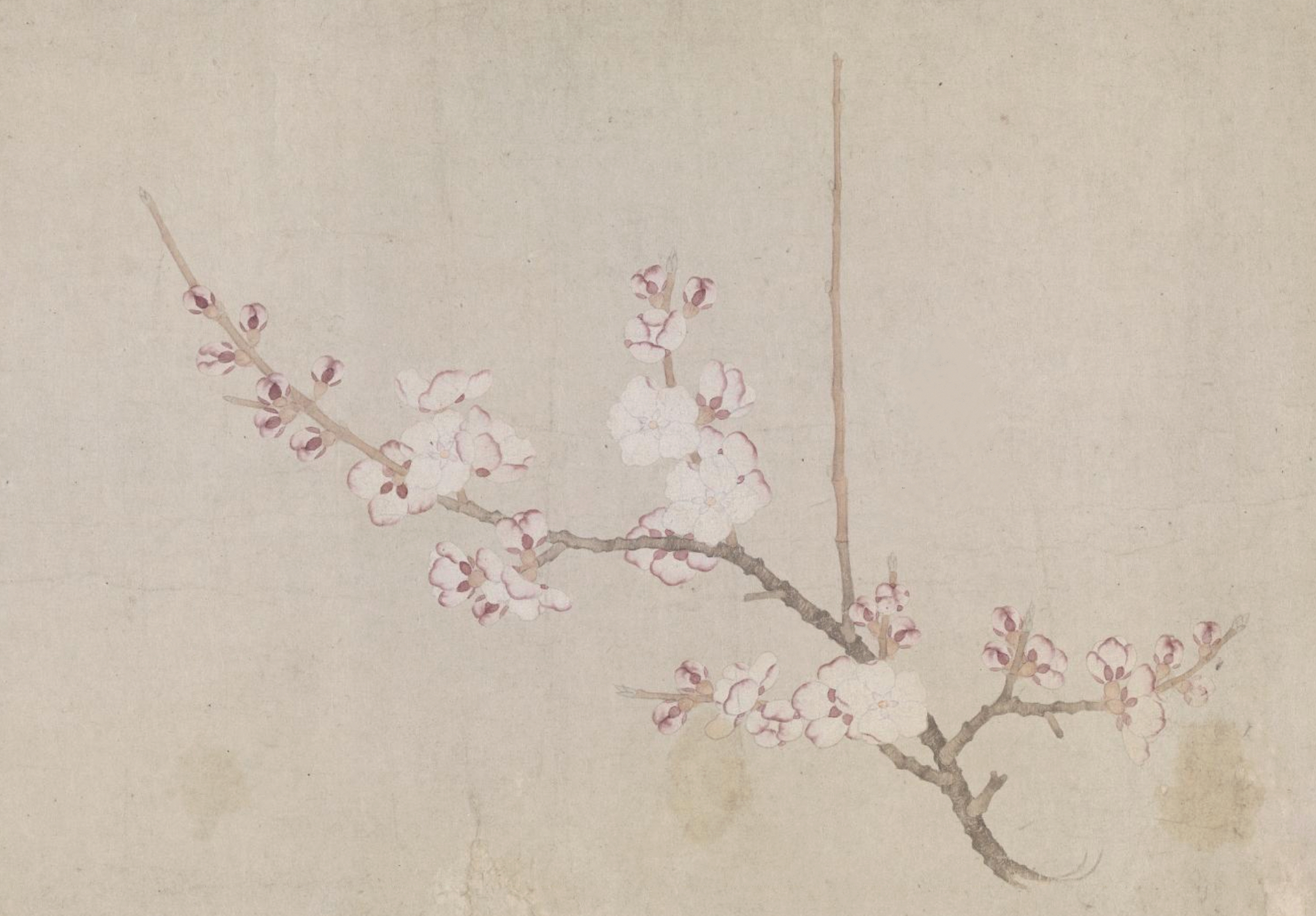 艺术开卷|从《诗经》开始,看中国花卉文化传统