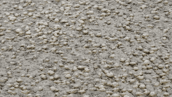 560_315gif 动态图 动图