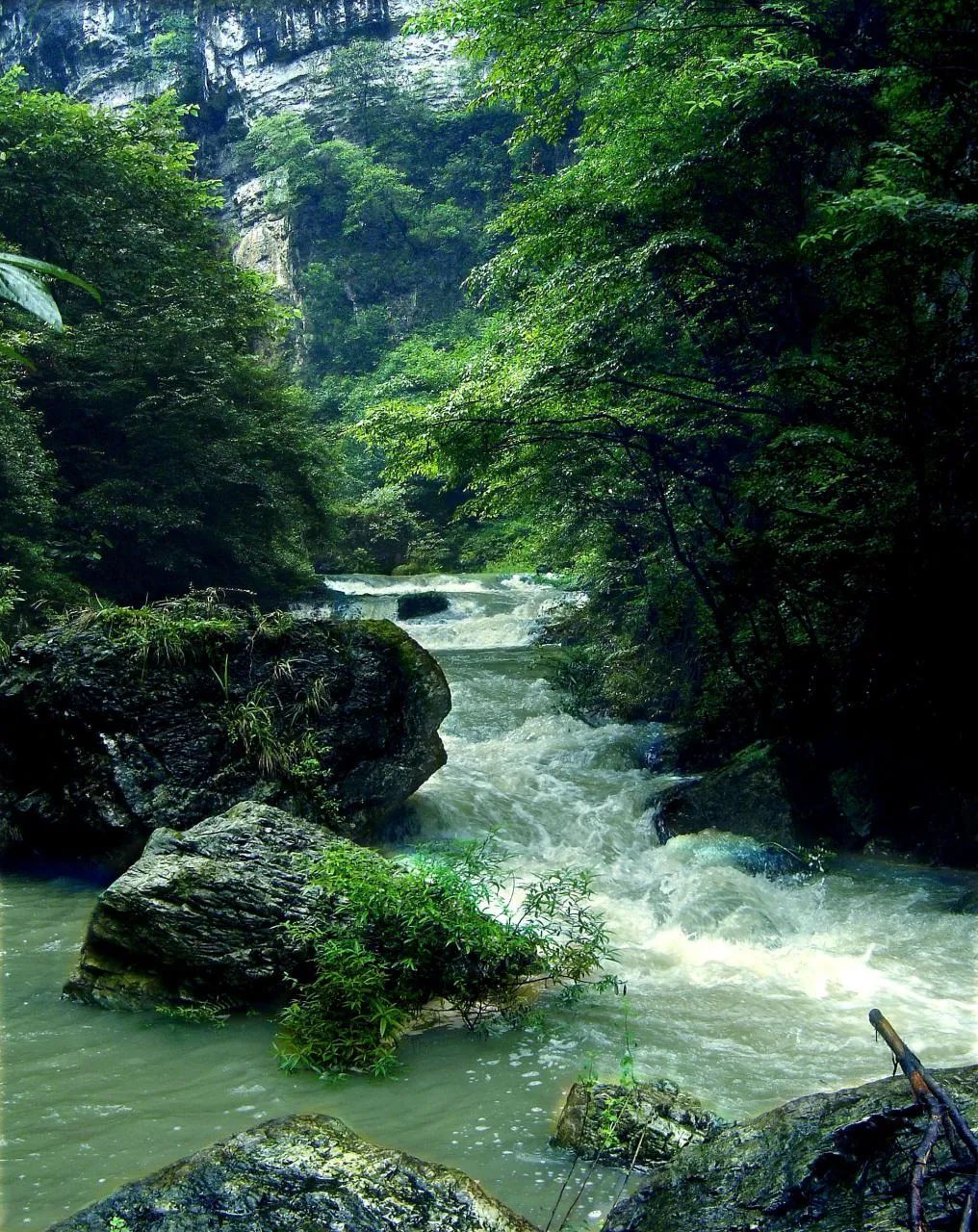 花溪之夏·避暑季|避暑又治愈的花溪,应该这样"溜达"
