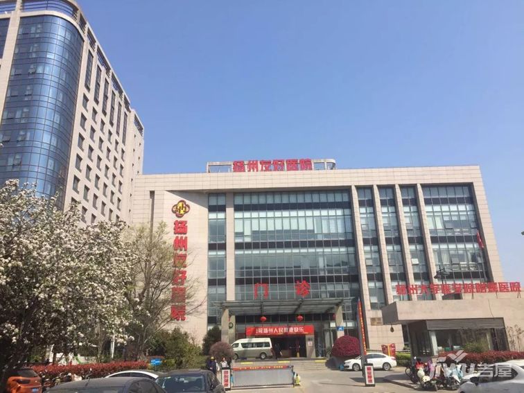 凭一己之力,坑惨扬州全城的毒王老太太,真的无辜吗?