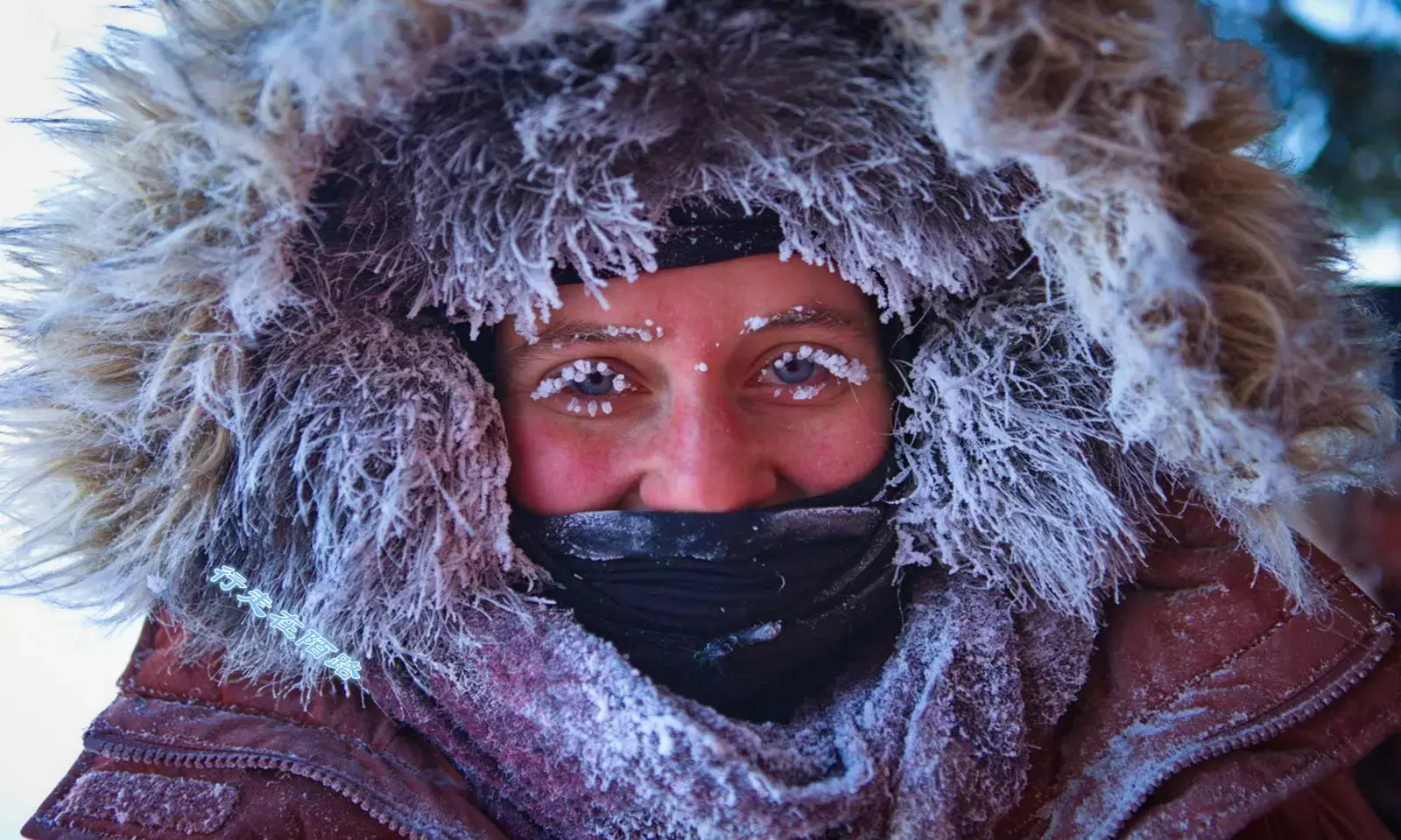 零下71℃!被称"极寒之地"的奥伊米亚康,500名村民如何生活?