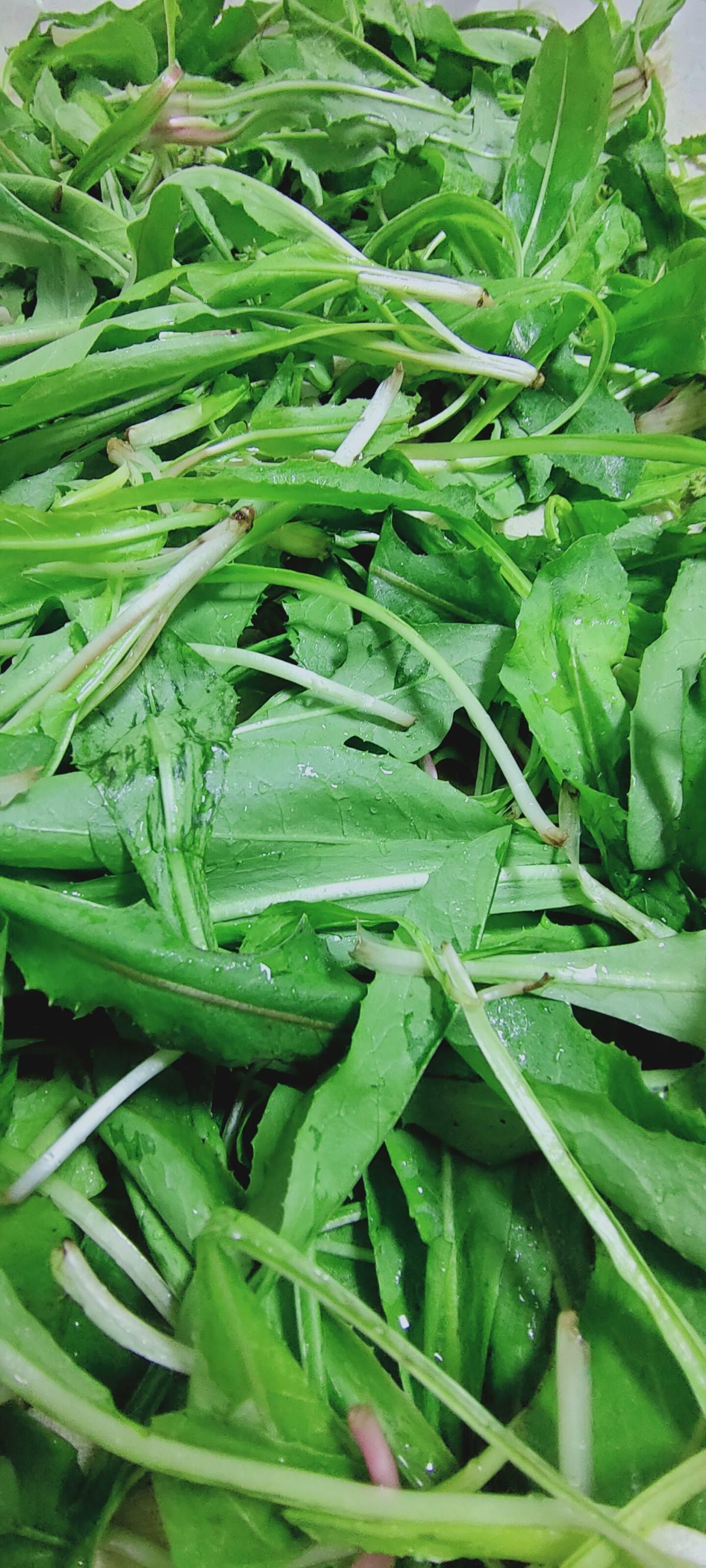 这些"草"其实是野菜,长路边没人要,超市争着买!