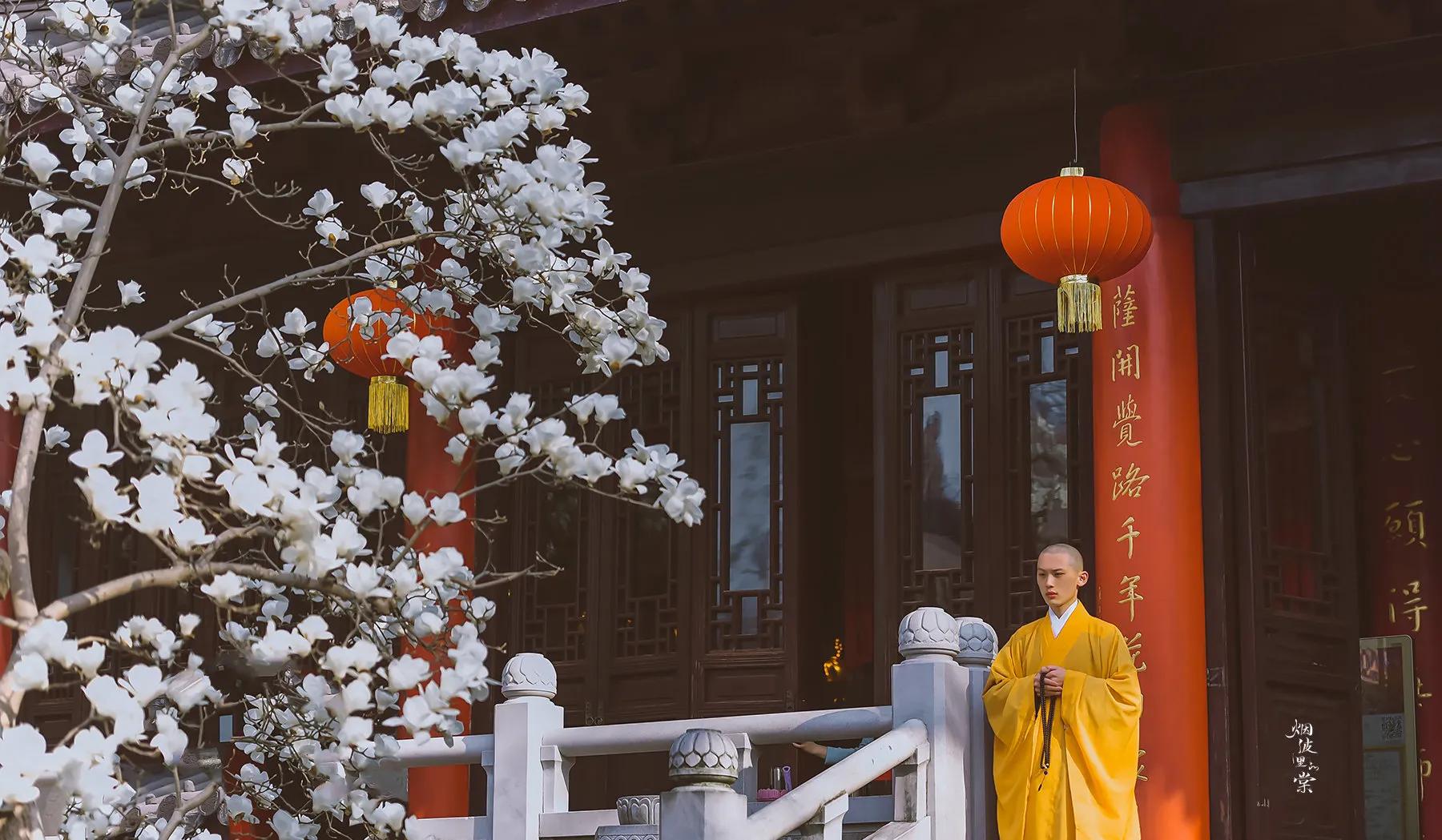 南京灵谷寺和尚图片