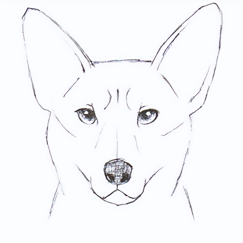 动物面部表情怎么画?教你小狗各种表情画法技巧!