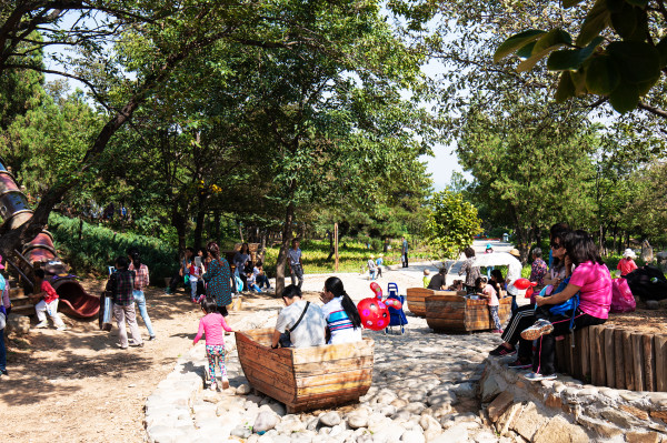 科学研究证实,「森林浴」可以带来惊人的健康益处!