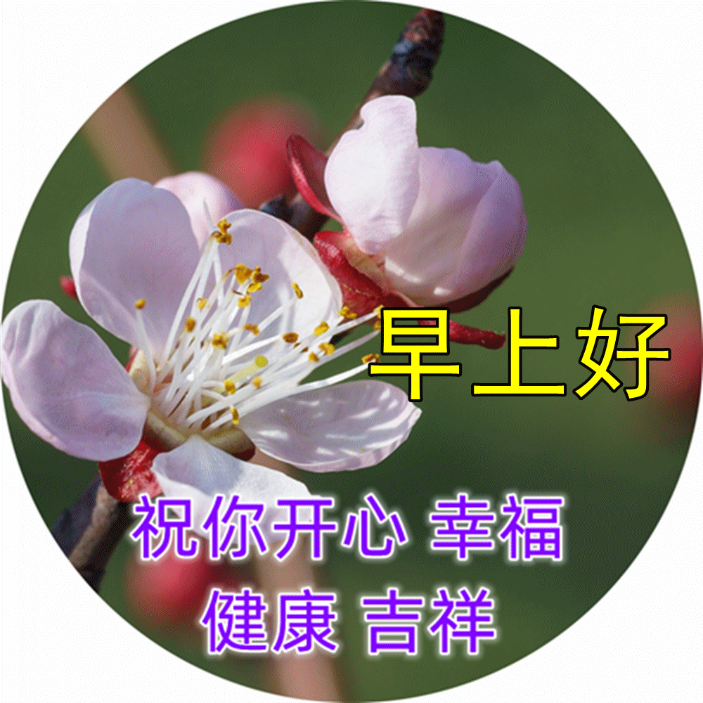 2023年最新微信短信问候祝福语,最新早上好祝福语动态表情图片