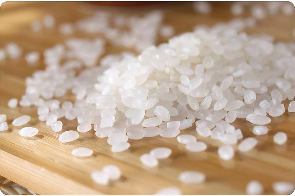 大米发酵产物滤液对皮肤的作用