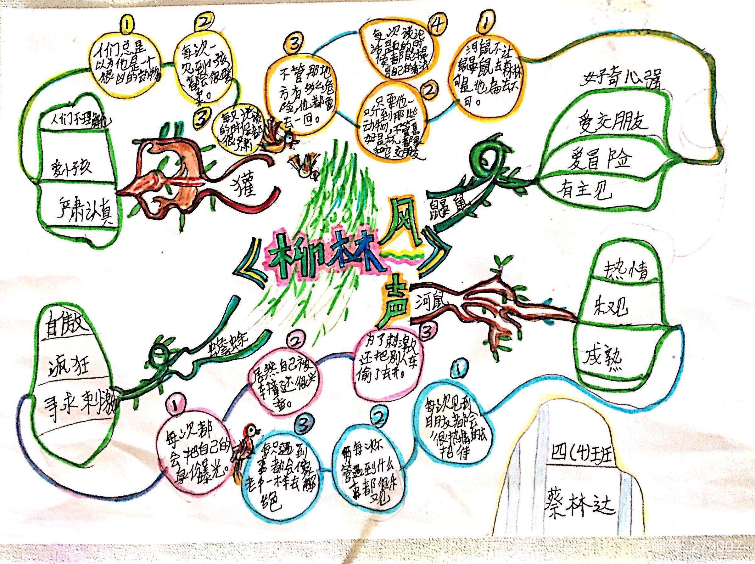 柳林风声思维导图简单图片