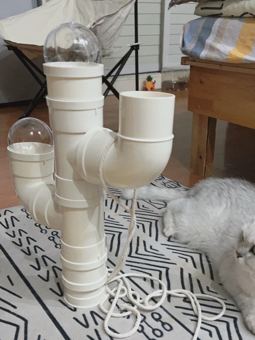 自制猫抓柱教程:花费几十自制仙人掌猫抓架教程来啦