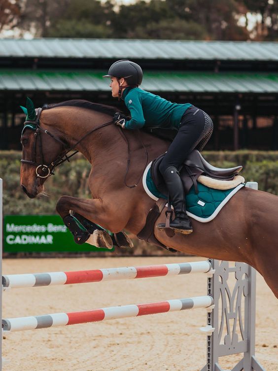 提升马术骑乘中的平衡感