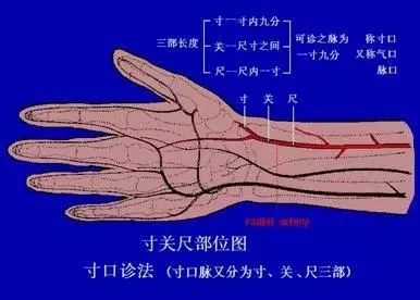 另一种就是把脉的时候，只明显感到了寸部的脉动，而关、尺部远没那么明显